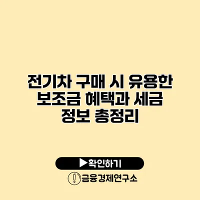 전기차 구매 시 유용한 보조금 혜택과 세금 정보 총정리