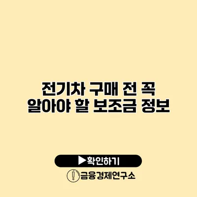 전기차 구매 전 꼭 알아야 할 보조금 정보