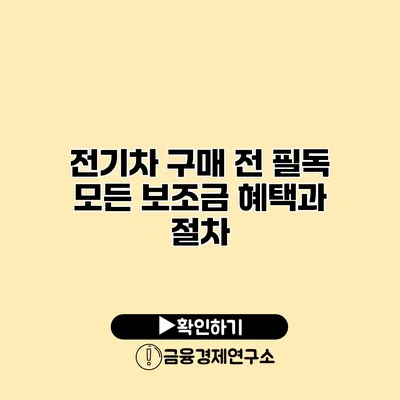 전기차 구매 전 필독 모든 보조금 혜택과 절차