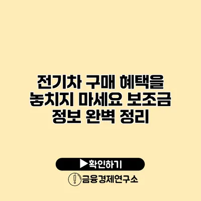 전기차 구매 혜택을 놓치지 마세요 보조금 정보 완벽 정리