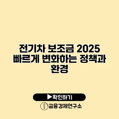 전기차 보조금 2025 빠르게 변화하는 정책과 환경