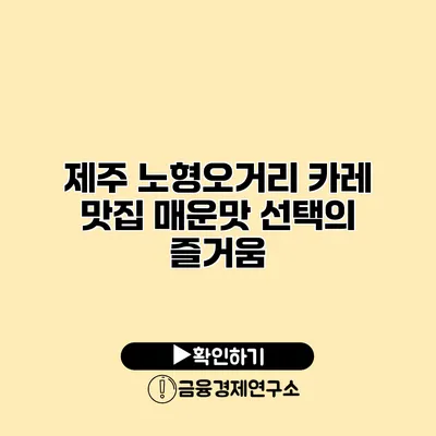 제주 노형오거리 카레 맛집 매운맛 선택의 즐거움