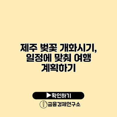 제주 벚꽃 개화시기, 일정에 맞춰 여행 계획하기