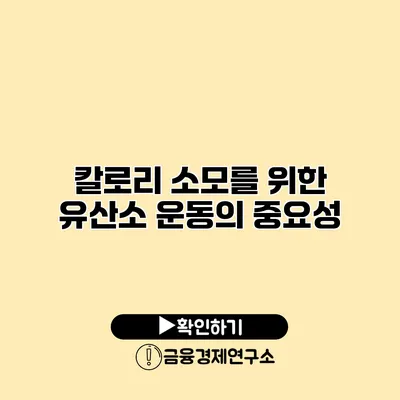 칼로리 소모를 위한 유산소 운동의 중요성