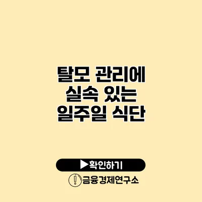 탈모 관리에 실속 있는 일주일 식단