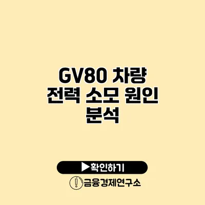 GV80 차량 전력 소모 원인 분석