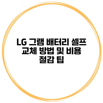 LG 그램 배터리 셀프 교체 방법 및 비용 절감 팁