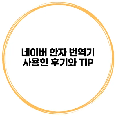 네이버 한자 번역기 사용한 후기와 TIP