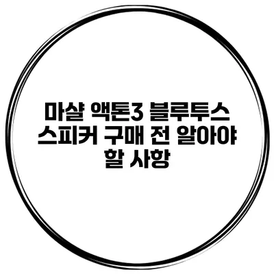 마샬 액톤3 블루투스 스피커 구매 전 알아야 할 사항