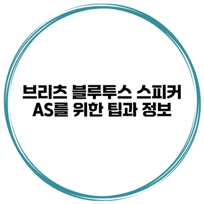 브리츠 블루투스 스피커 AS를 위한 팁과 정보