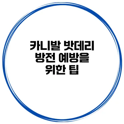 카니발 밧데리 방전 예방을 위한 팁