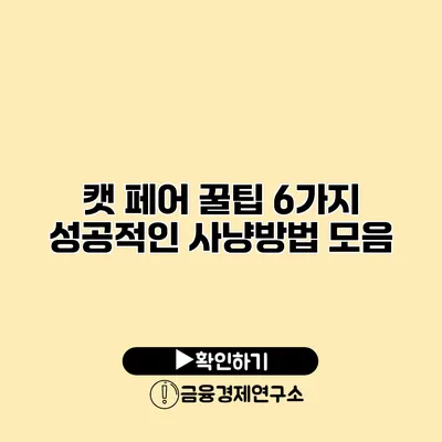 캣 페어 꿀팁 6가지 성공적인 사냥방법 모음